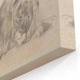 Vintage Animal Art – Lion Sketch Illustration Wall Print