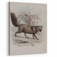Vintage Fox Illustration – Classic Animal Wall Art Print