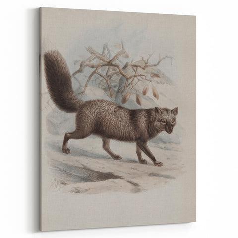 Vintage Fox Illustration – Classic Animal Wall Art Print