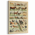 Vintage Domestic Animals Illustration – Farmhouse Wall Art Print