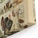 Vintage Domestic Animals Illustration – Farmhouse Wall Art Print