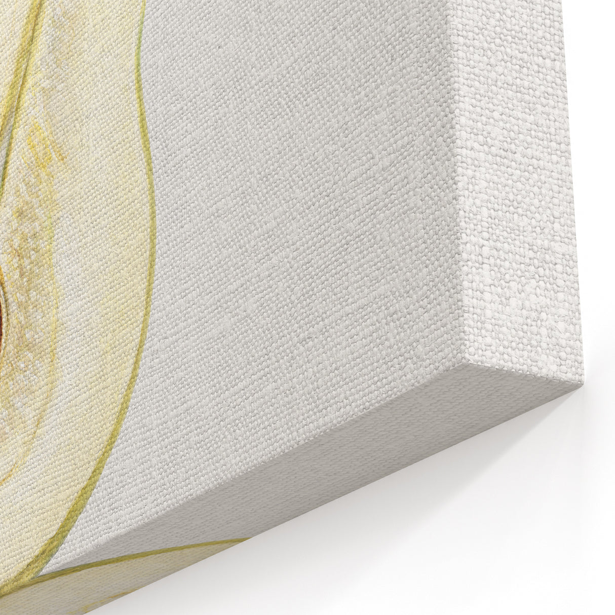 Elegant Pear Fruits Wall Art – Fruit Canvas Art for Kitchen Decor