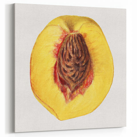 Juicy Peach Fruit Art Prints – Stunning Kitchen Fruit Decor Canvas