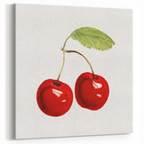 Bright Cherry Fruit Photography Art – Kitchen Wall Decor