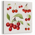 Cherry Botanical Fruit Art Prints – Stunning Kitchen Wall Decor