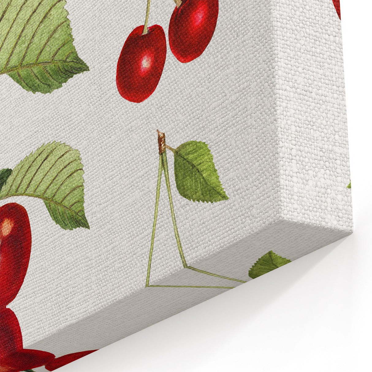 Cherry Botanical Fruit Art Prints – Stunning Kitchen Wall Decor