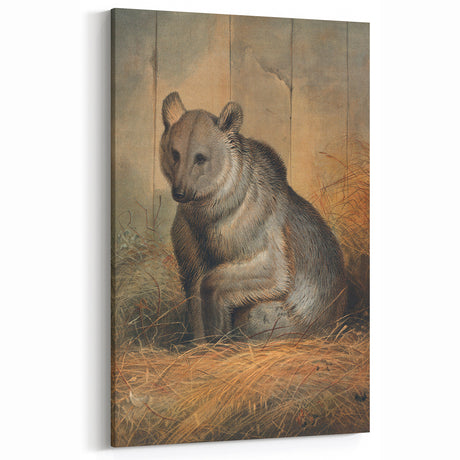 Vintage Animal Art: Antique Wildlife Print Bear – Nostalgic Decor