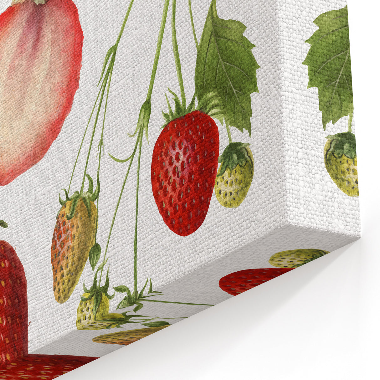 Fresh Strawberry Fruit Illustration Prints – Kitchen Wall Decor