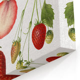 Fresh Strawberry Fruit Illustration Prints – Kitchen Wall Decor