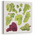 Lush Grape Fruit Botanical Prints – Elegant Kitchen Wall Art