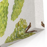 Lush Grape Fruit Botanical Prints – Elegant Kitchen Wall Art