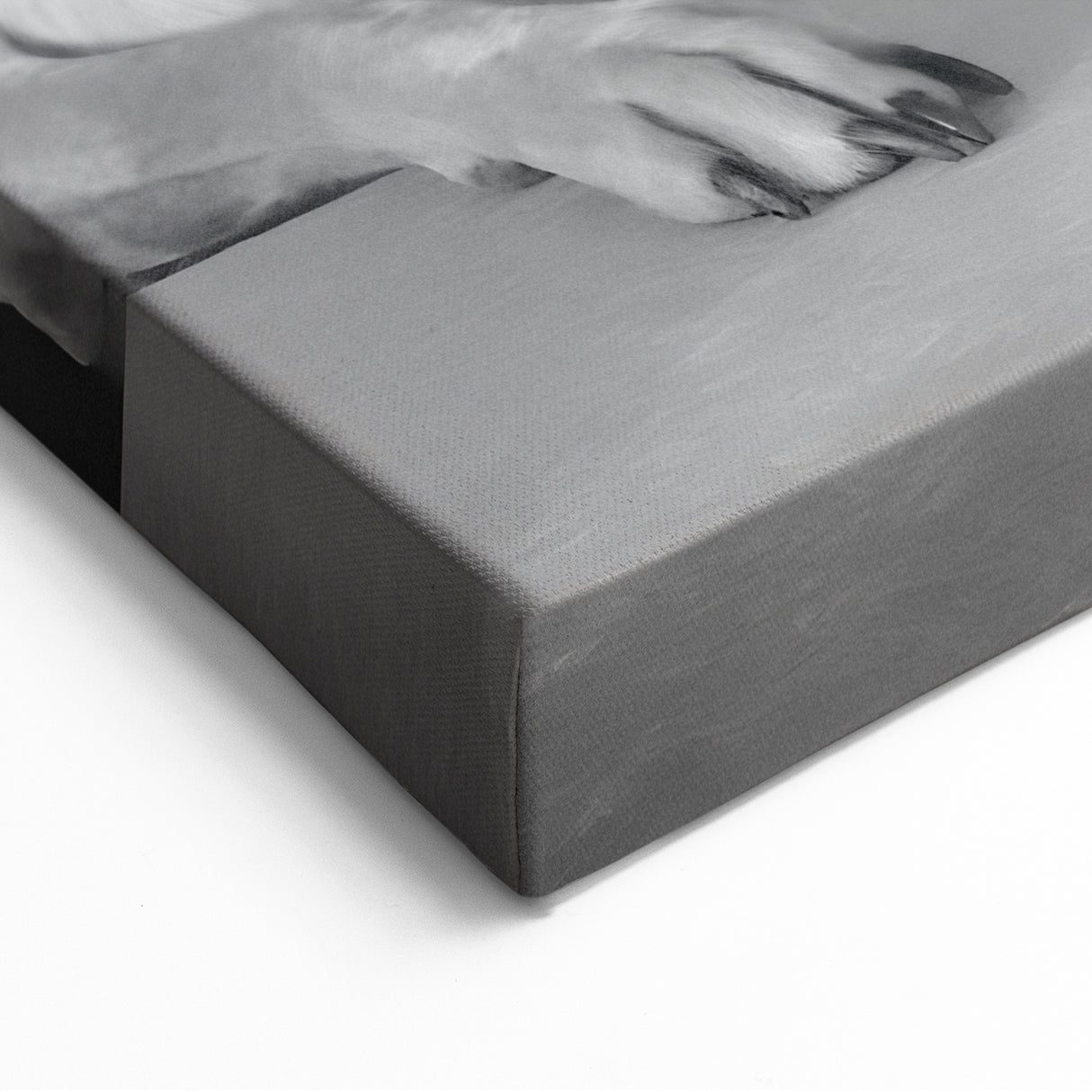 Quirky Coffee Moment – Culinary Photography Wall Art