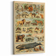 Vintage Animal Art: Retro Mammal Illustration Wall Print