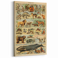 Vintage Animal Art: Retro Mammal Illustration Wall Print