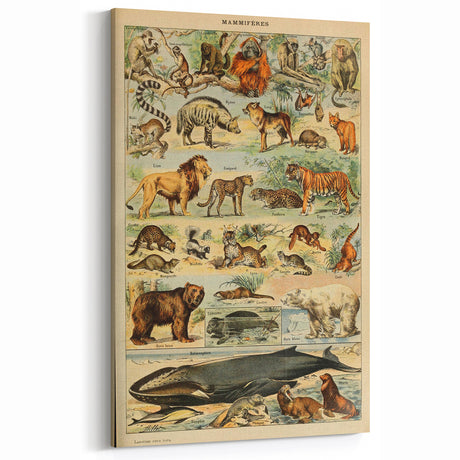 Vintage Animal Art: Retro Mammal Illustration Wall Print