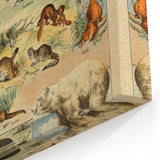 Vintage Animal Art: Retro Mammal Illustration Wall Print