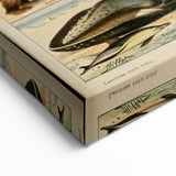 Vintage Animal Art: Retro Mammal Illustration Wall Print