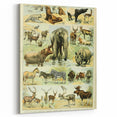 Vintage Animal Art: Retro Wildlife Mammal Illustration Print