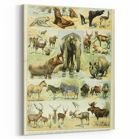 Vintage Animal Art: Retro Wildlife Mammal Illustration Print