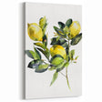Lemon Botanical Fruit Art Prints – Elegant Watercolor Kitchen Decor