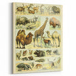 Vintage Animal Art: Retro Giraffe & Wildlife Illustration Print