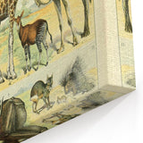 Vintage Animal Art: Retro Giraffe & Wildlife Illustration Print
