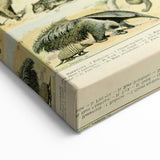 Vintage Animal Art: Retro Giraffe & Wildlife Illustration Print