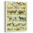 Vintage Animal Art: Retro Farm & Domestic Mammals Illustration