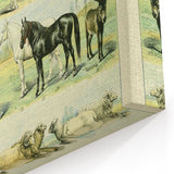 Vintage Animal Art: Retro Farm & Domestic Mammals Illustration