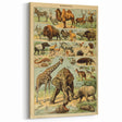 Vintage Animal Art: Retro Wildlife Mammals Illustration Print