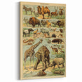 Vintage Animal Art: Retro Wildlife Mammals Illustration Print