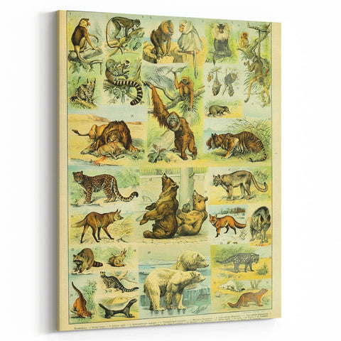 Vintage Animal Art: Retro Big Cats & Wildlife Illustration Print