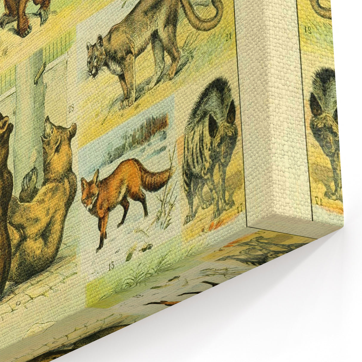 Vintage Animal Art: Retro Big Cats & Wildlife Illustration Print