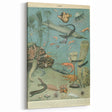 Vintage Animal Art: Deep-Sea Creatures & Ocean Life Illustration