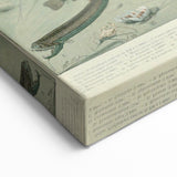 Vintage Animal Art: Deep-Sea Creatures & Ocean Life Illustration