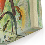 Vintage Animal Art: Birds of Paradise & Exotic Hummingbirds Print