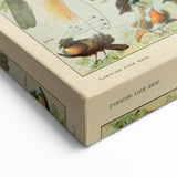 Vintage Animal Art: Exotic Birds & Birds of Paradise Print