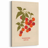 Fruit Botanical Prints – Vintage Tomato Kitchen Wall Art