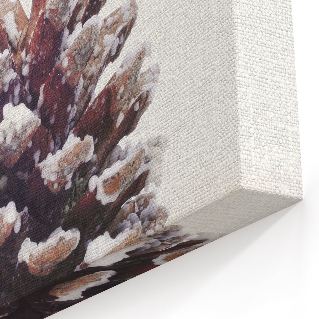 Snowy Pine Cone - Winter Wonderland Wall Art Winter Canvas Print