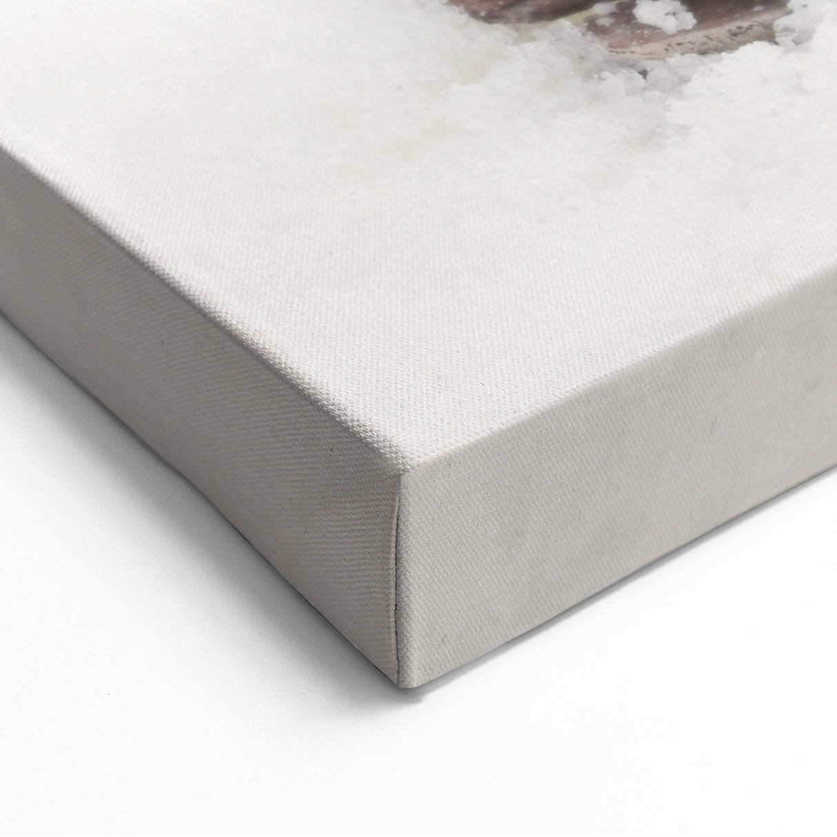 Snowy Pine Cone - Winter Wonderland Wall Art Winter Canvas Print