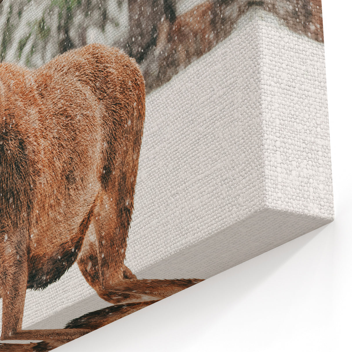 Majestic Winter Deer - Snowy Landscape Wall Art Winter Canvas Print