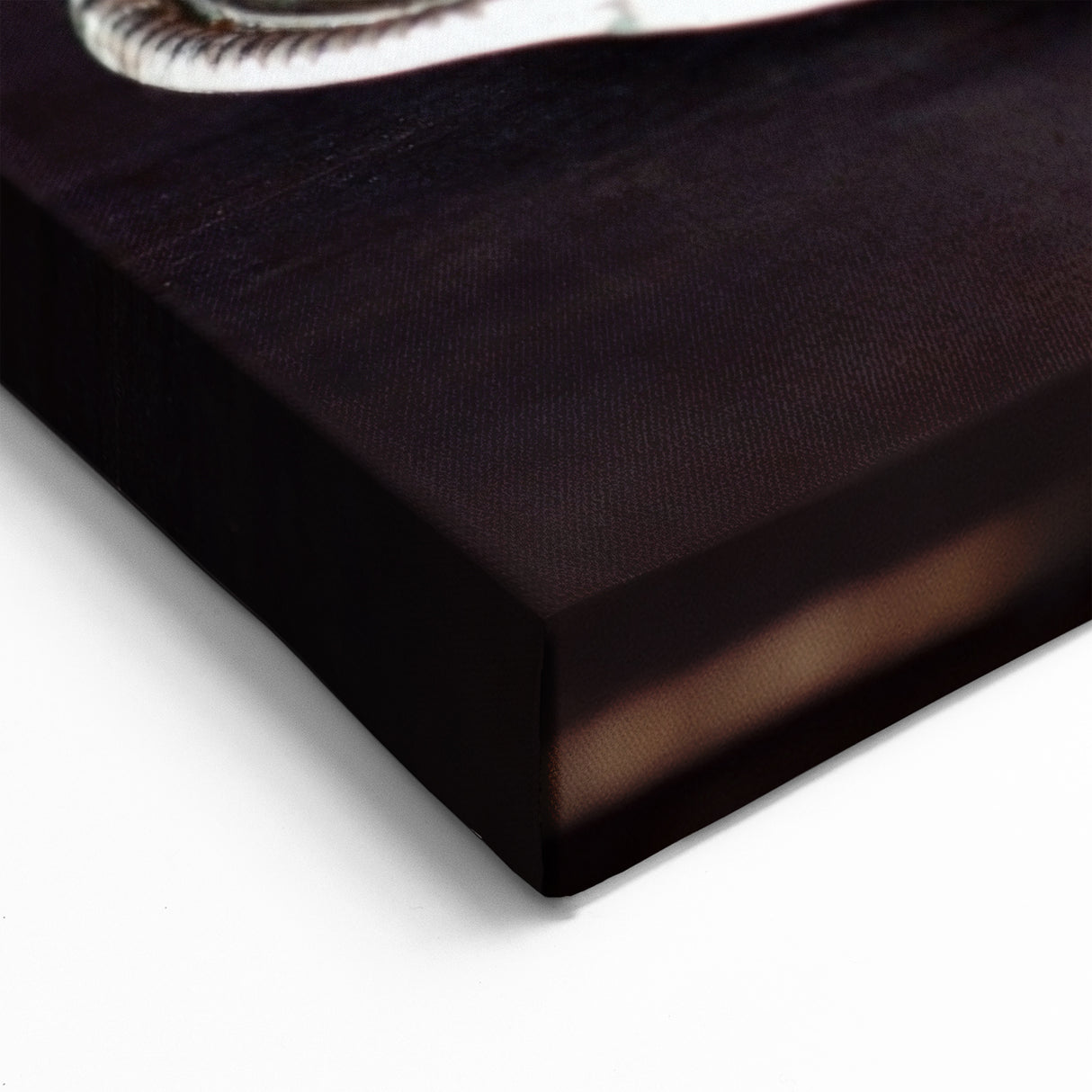 Fruit Still Life Art – Dark & Moody Fig Wall Photography Print