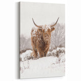 Highland Cow in Snow - Winter Scene Wall Art Winter Canvas Print