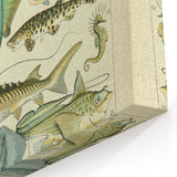Retro Animal Illustrations: Vintage Fish Art for Home Decor