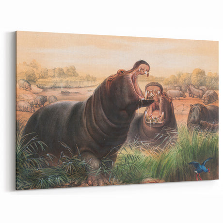 Vintage Animal Art: Retro Hippo Illustration for Classic Decor