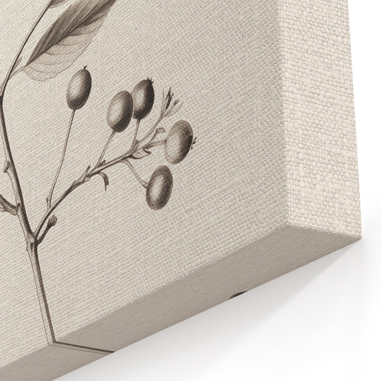 Winter Art Prints – Elegant Botanical Sketch Black and White Decor