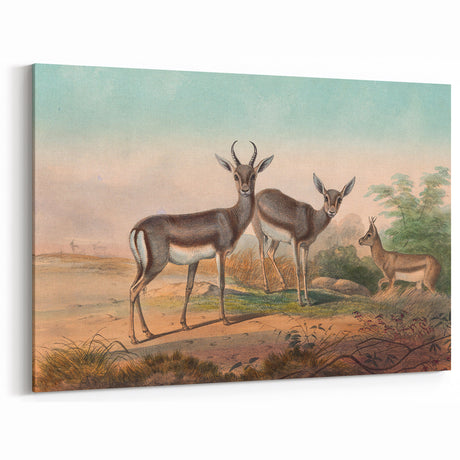 Vintage Animal Art: Retro Gazelle Illustration for Home Decor