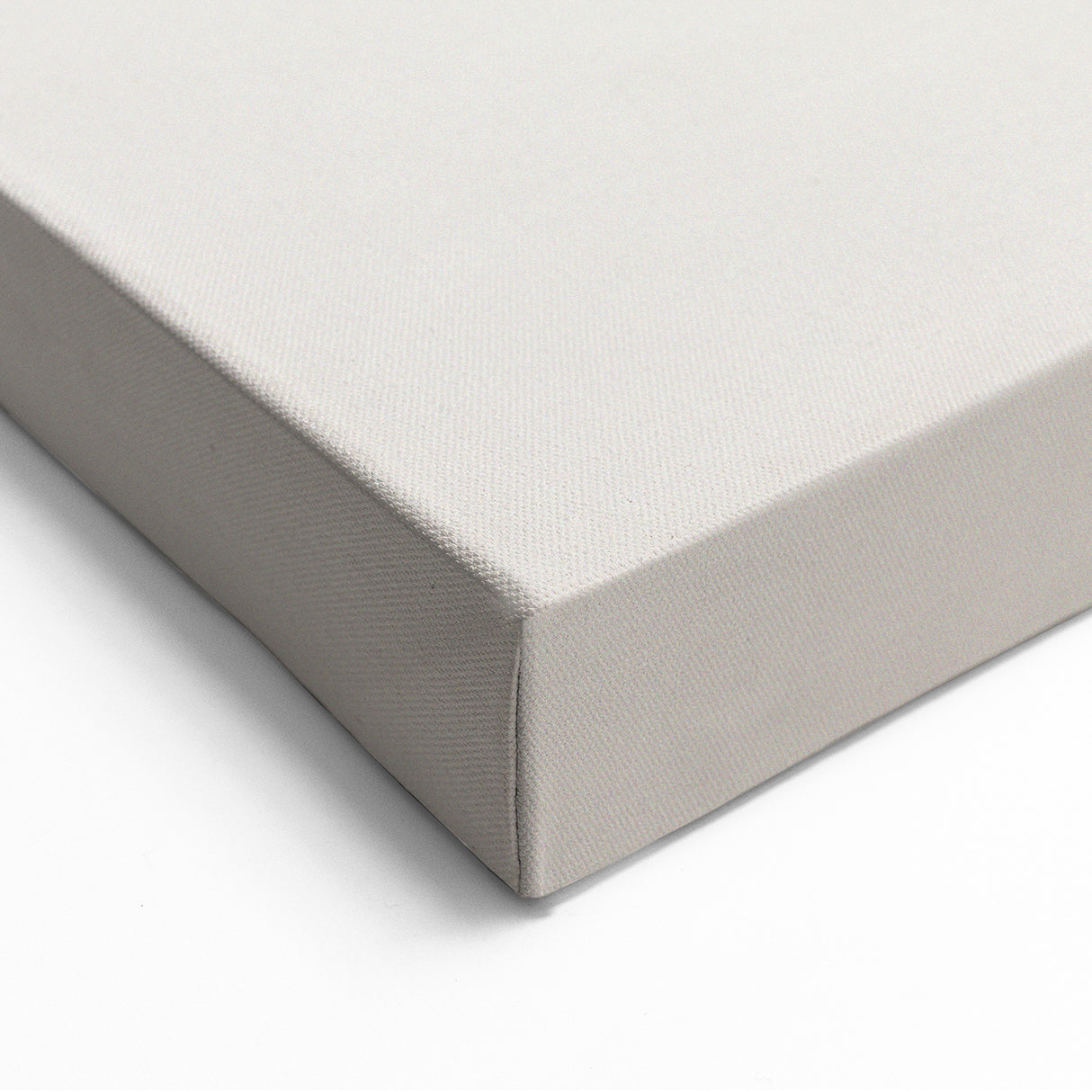 Snowy Landscape Wall Art – Elegant Winter Botanical Sketch Print