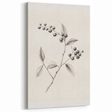 Winter Wall Decor – Botanical Black and White Nature Sketch Print