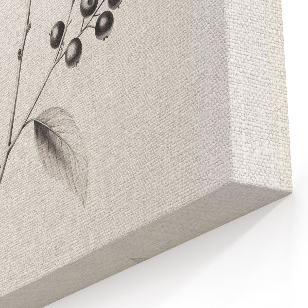 Winter Wall Decor – Botanical Black and White Nature Sketch Print